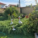 Casa Flor Da Laranjeira بونتي دي ليما