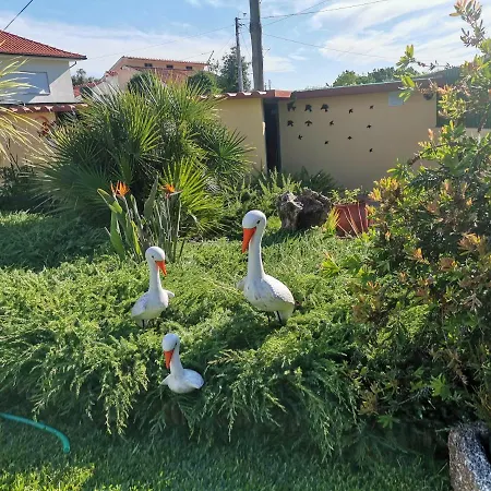Casa Flor Da Laranjeira Ponte de Lima