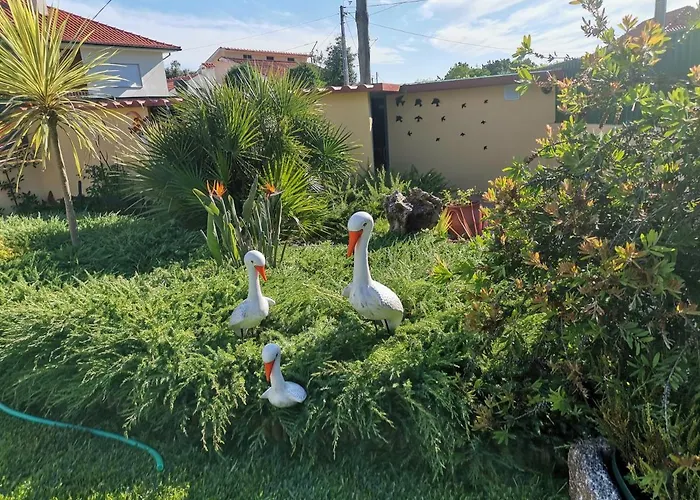 Casa Flor Da Laranjeira Ponte de Lima